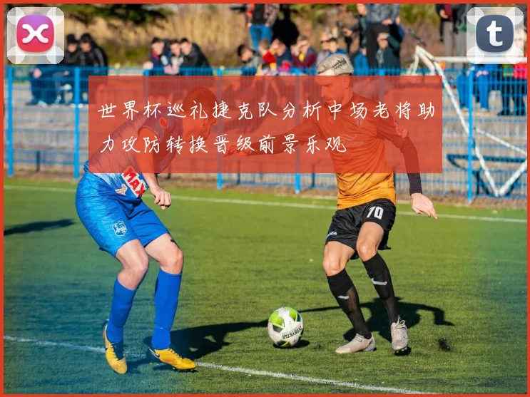 世界杯巡礼捷克队分析中场老将助力攻防转换晋级前景乐观
